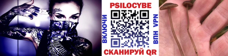 Псилоцибиновые грибы мухоморы Новоульяновск