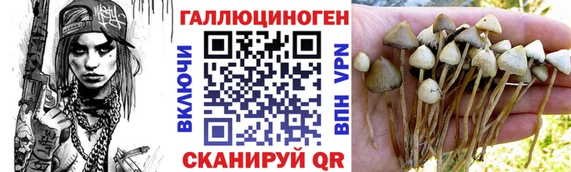 Псилоцибиновые грибы Psilocybine cubensis маркетплейс официальный сайт Новоульяновск хочу мега зеркало
